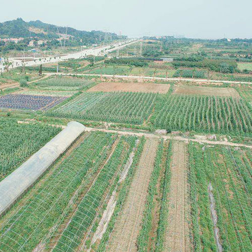 云南基地種植基地深圳市七畝地農產品實業有限公司