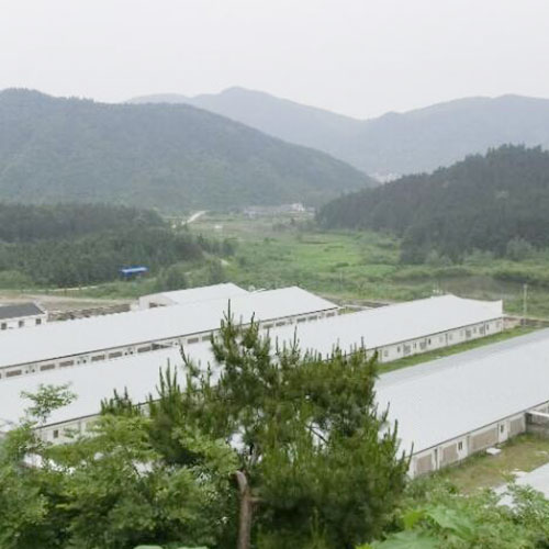 養(yǎng)豬場4基地倉庫深圳市七畝地農(nóng)產(chǎn)品實業(yè)有限公司