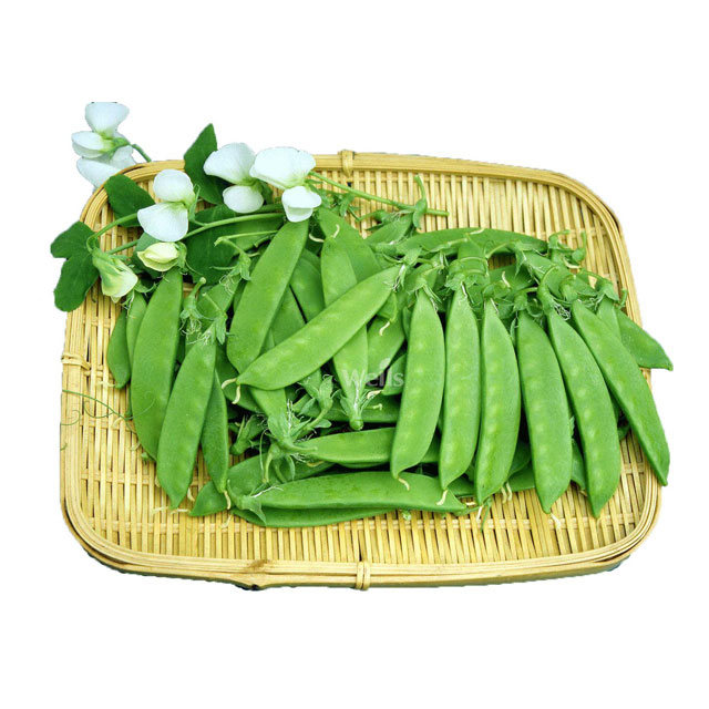深圳市七畝地農產品實業有限公司-蔬菜配送-荷蘭豆配送