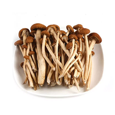 茶樹(shù)菇配送調(diào)料干貨深圳市七畝地農(nóng)產(chǎn)品實(shí)業(yè)有限公司