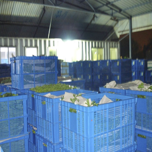 分揀中心2基地倉庫深圳市七畝地農(nóng)產(chǎn)品實業(yè)有限公司