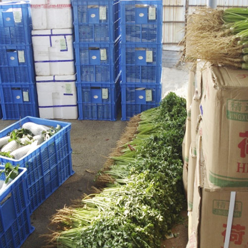 分揀中心1基地倉庫深圳市七畝地農(nóng)產(chǎn)品實(shí)業(yè)有限公司
