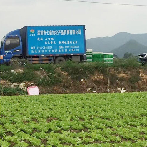 種植基地3種植基地深圳市七畝地農產品實業有限公司