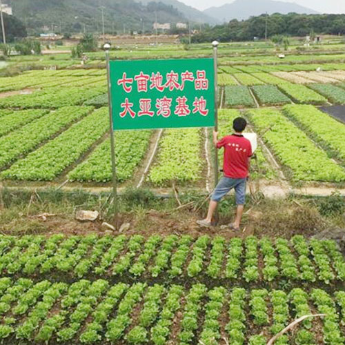 種植基地2種植基地深圳市七畝地農產品實業有限公司